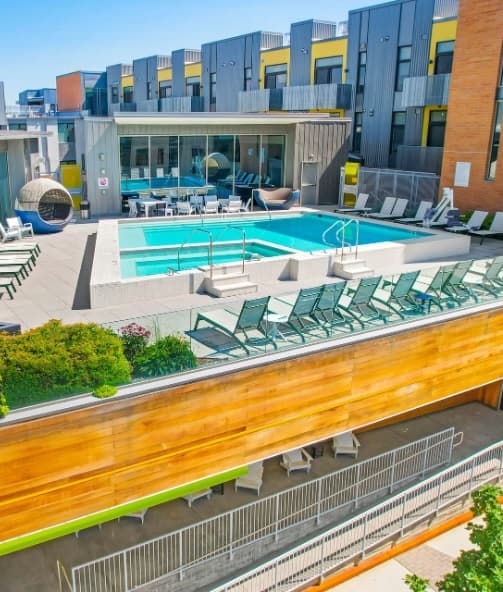 A modern outdoor pool area at S'PARK Apartments Boulder features lounge chairs, greenery, and a wooden fence. Behind the pool, contemporary apartment buildings with yellow and gray accents stand under a clear blue sky.