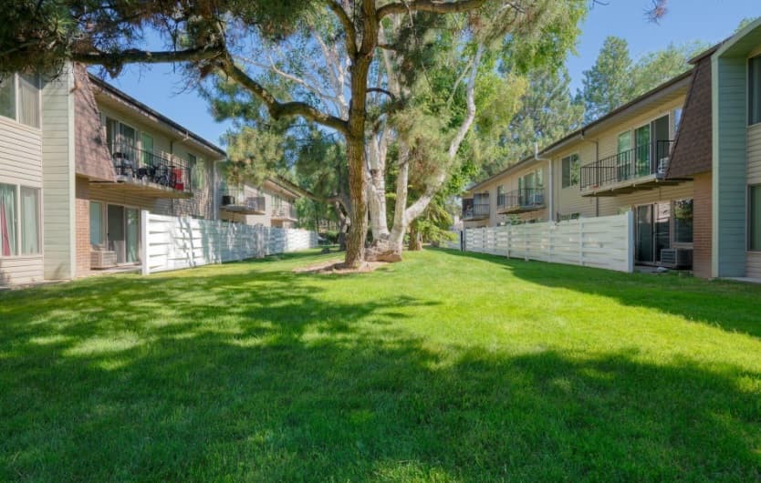 A bright, sunny courtyard with green grass, large trees, and two-story apartment buildings on either side welcomes you to Laurel Park Apartments Boise, each featuring white fences and inviting balconies.