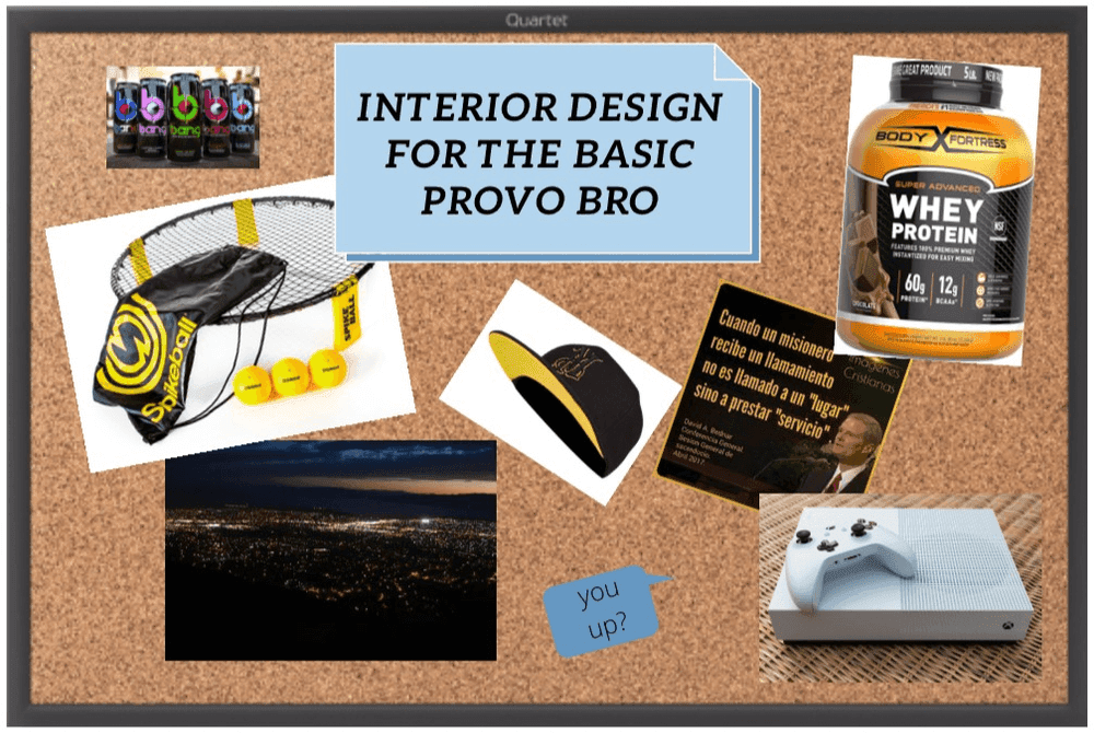 Interior Design for the Basic Provo Bro