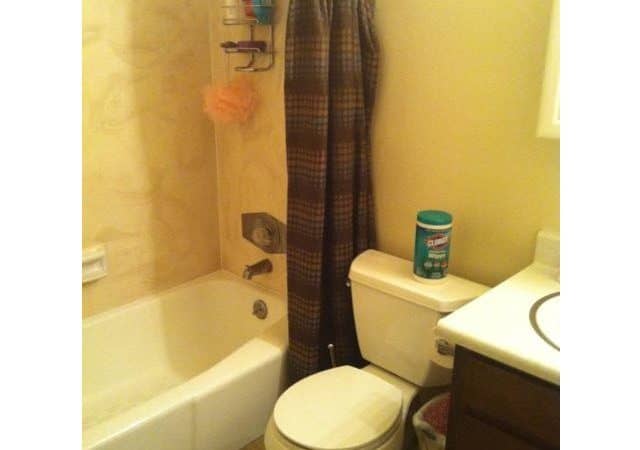 Silver-Shadows--bathroom