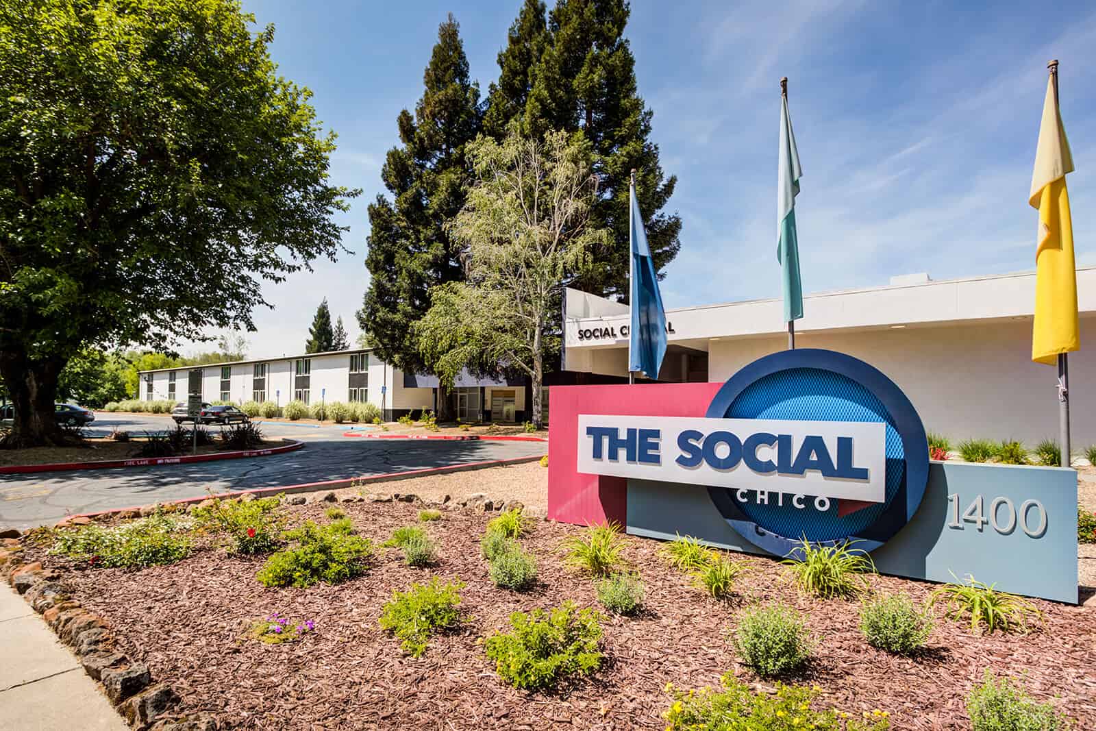 The Social Chico