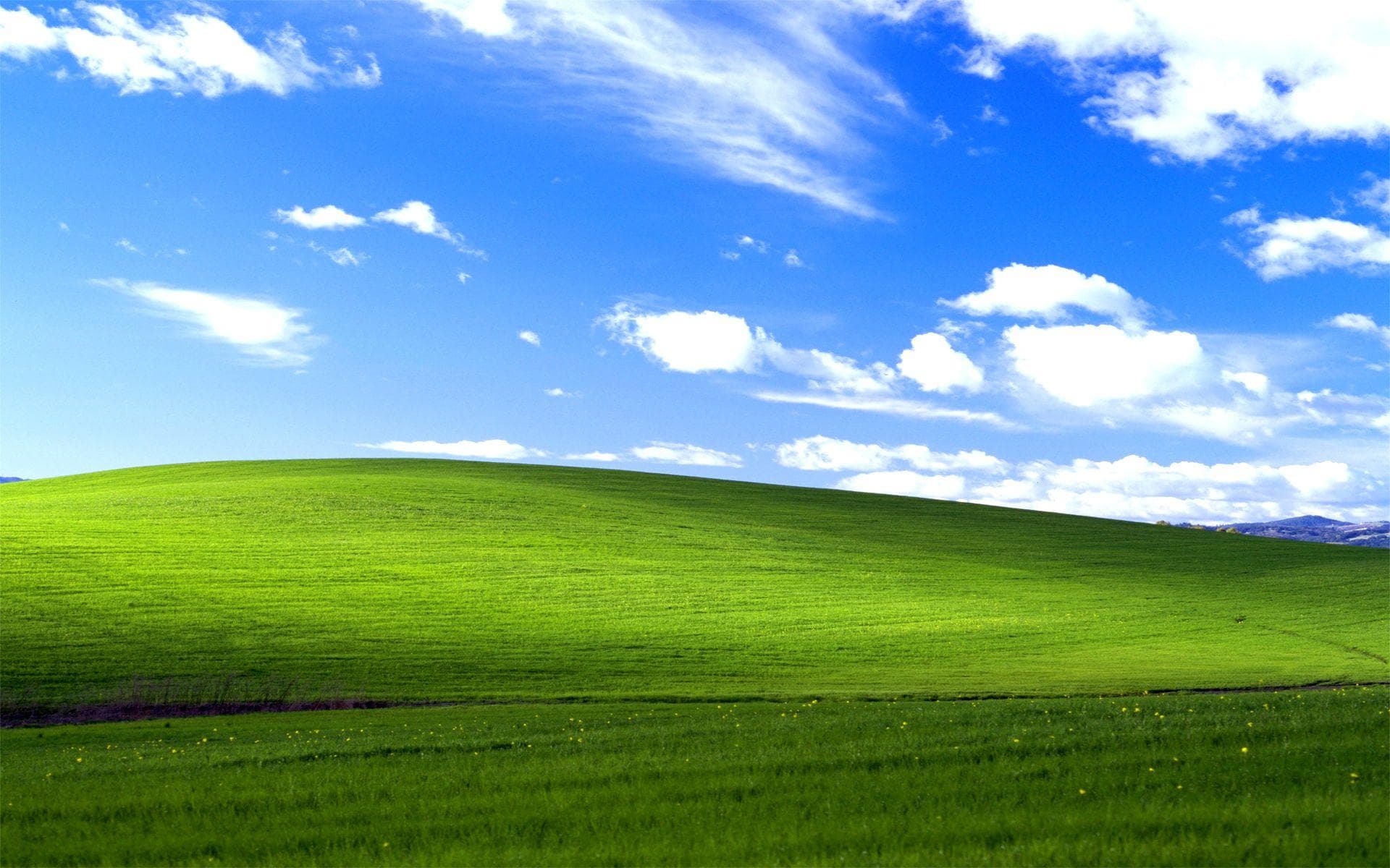 A bright green grassy hill at 2125 Franklin Eugene sits under a vibrant blue sky with scattered white clouds, basking in sunlight. The open, serene landscape evokes a sense of calm.