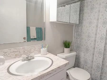 Bay Terrace