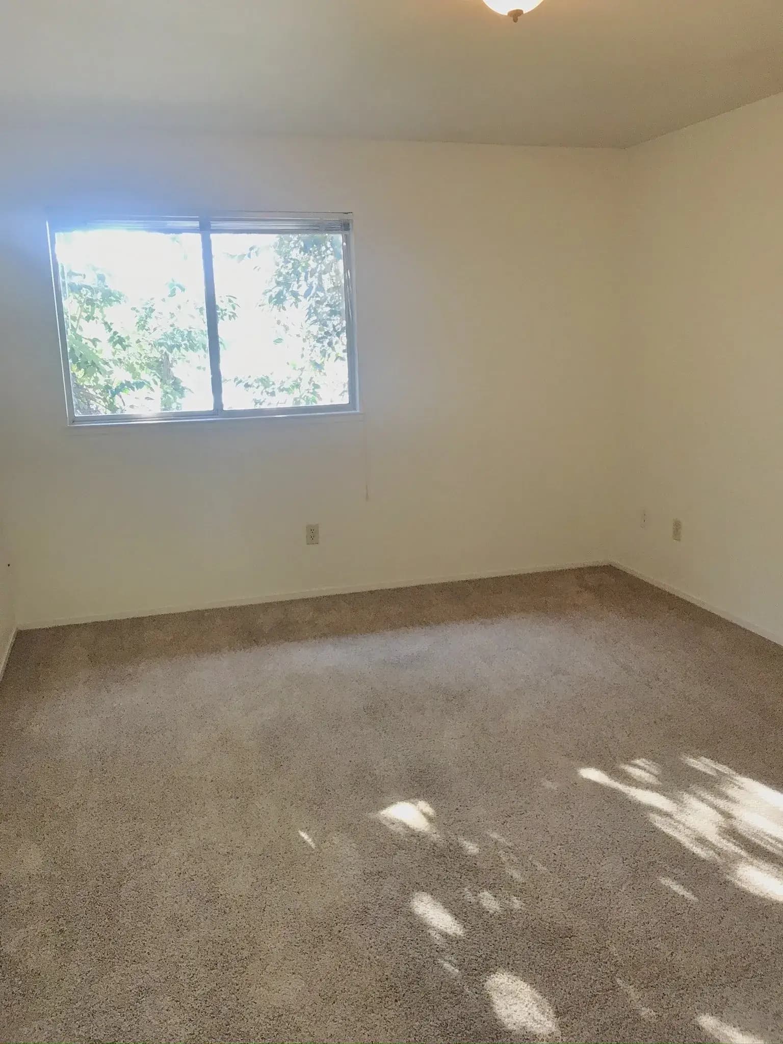 Lassen View Apartments