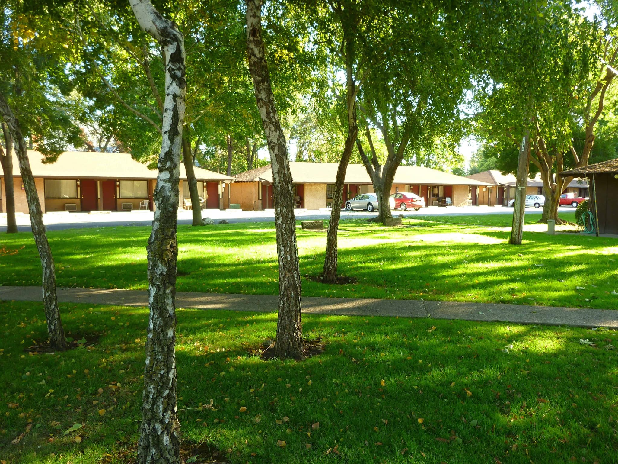 1 bed / 1 bath