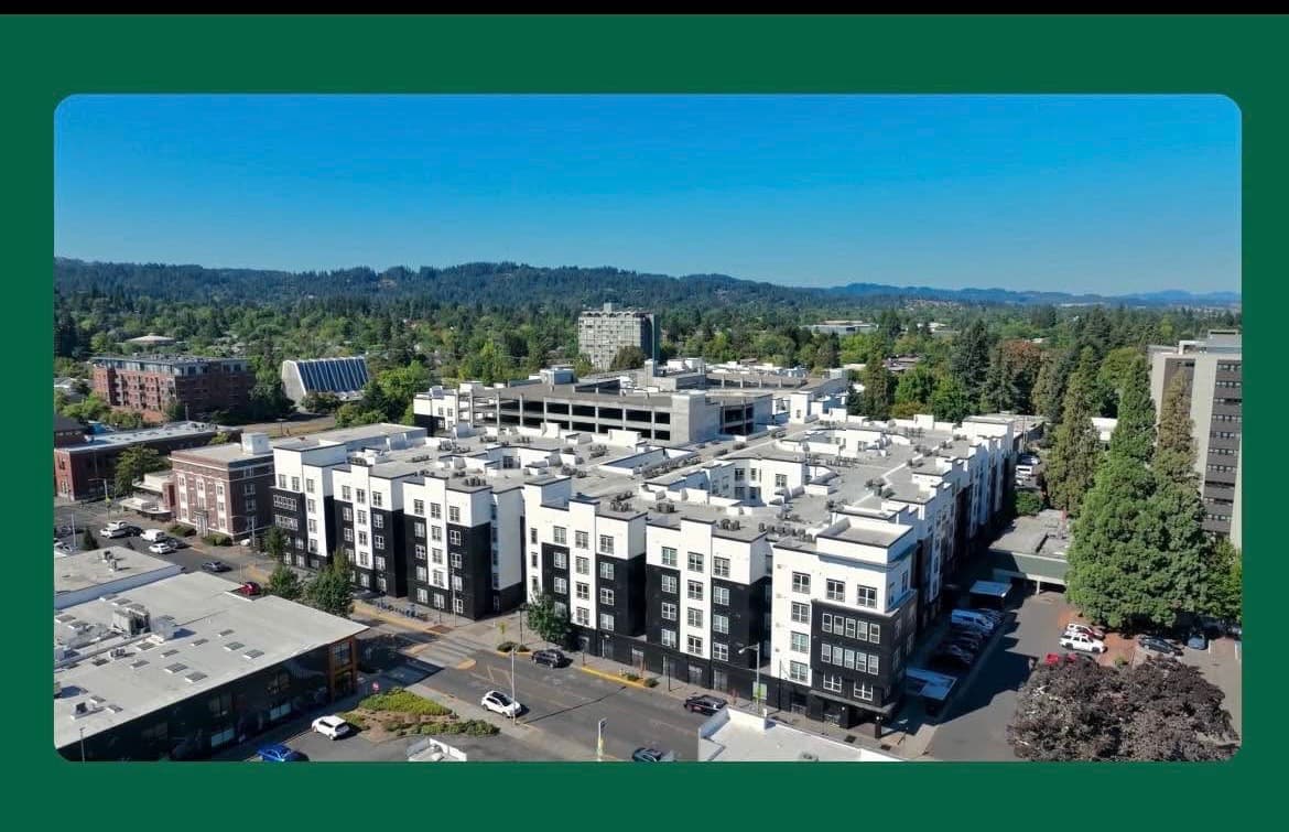 Outdoor swimming pool surrounded by modern Hayward apartments, with poolside seating, tables under a pergola, and potted plants. The bright, inviting area suggests a welcoming community perfect for student accommodation.