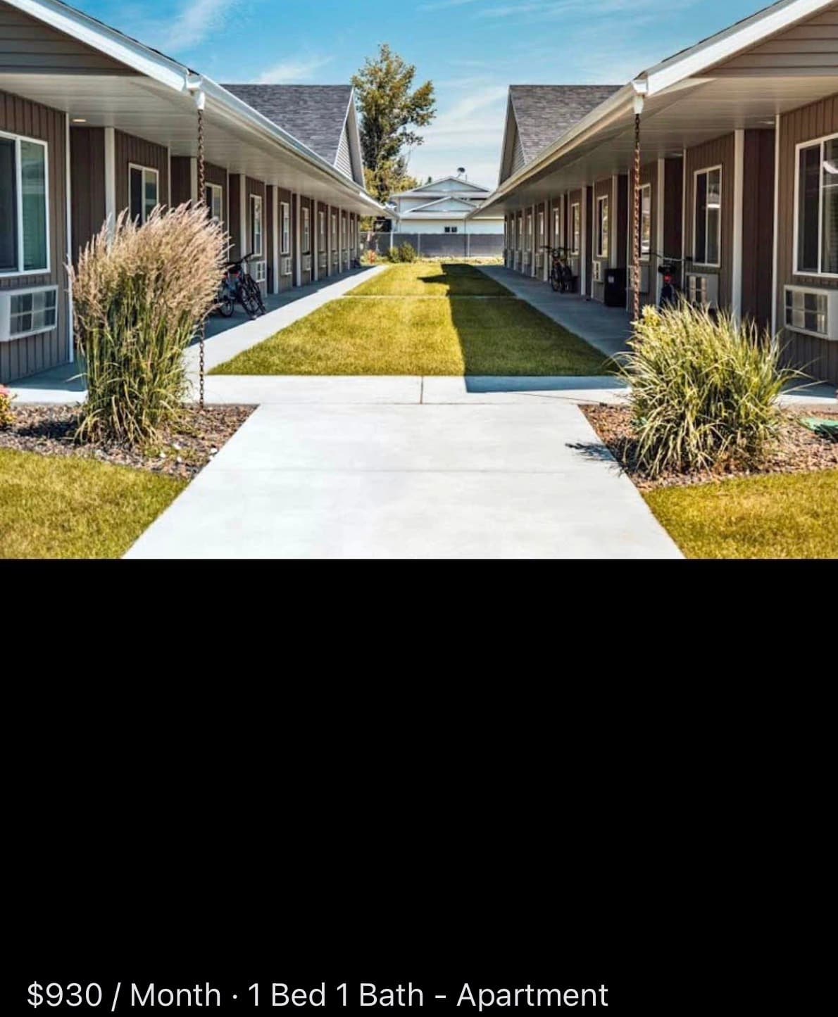 1 Bed 1 Bath Apartment