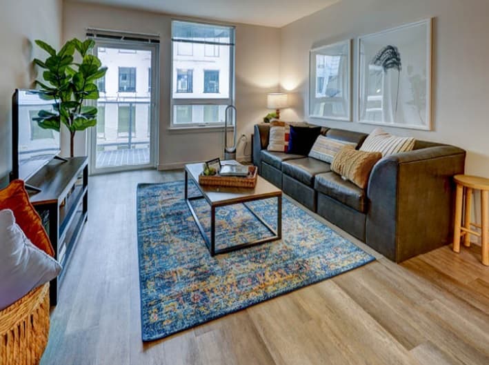 Modern U District living room with a dark gray sofa, colorful area rug, coffee table, TV stand, potted plant, and wall art; large TWELVE windows let in natural light.
