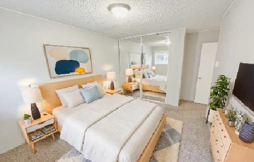 A bright, modern bedroom with a neatly made bed, light wood furniture, mirrored closet doors, abstract wall art, a TV on a dresser, bedside lamps, and a potted plant in the corner.