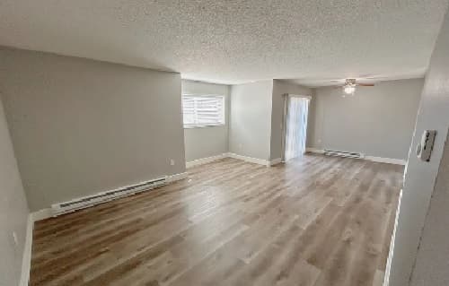 Empty room with light-colored wood flooring, gray walls, a window, a sliding glass door, and a ceiling fan. The space appears bright and open with natural light coming in.