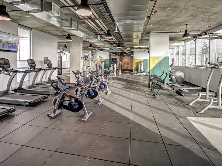 Modern gym at 959 Franklin with treadmills, stationary bikes, rowing machines, and weightlifting equipment. Large windows, concrete ceilings, and bright lighting create an open and inviting atmosphere.