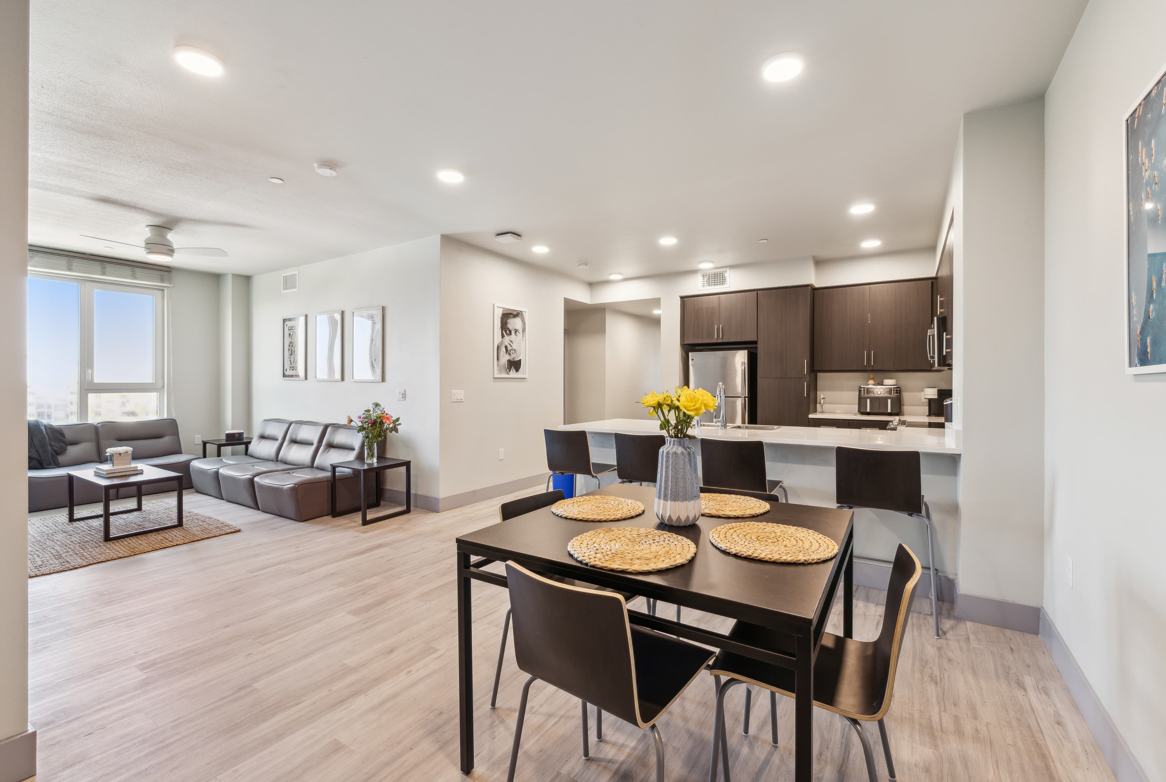 Modern open-concept apartment with a dining area set for four, a kitchen with dark cabinets and stainless steel appliances, and a bright living room with a sofa and large window.