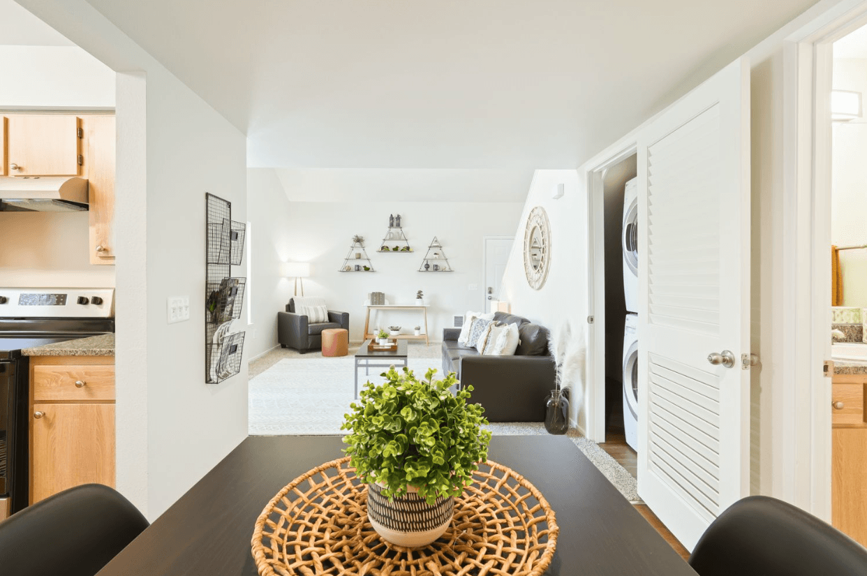 Bright, modern apartment interior at Ducks Village with an open layout, dining table with green plant centerpiece, living area with dark sofas, kitchen on the left, and a laundry closet with stacked washer and dryer on the right.