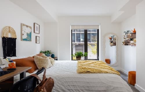 A bright, modern Ace Berkeley bedroom with a neatly made bed, decorative pillows, wall art, plants, a standing mirror, and shelves. Natural light floods in through the window. A desk and chair are visible in the corner.