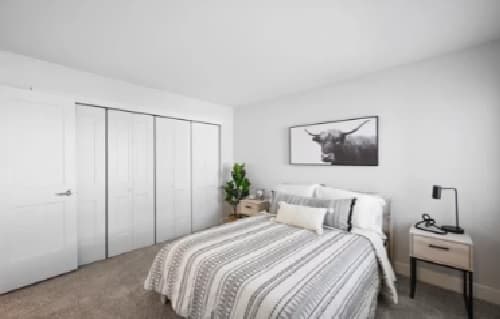 A modern, minimalistic bedroom at The Alpine Apartments Fort Collins features a neatly made bed with striped bedding, two bedside tables, a potted plant, and black-and-white bull artwork above the bed. White walls and a closet with sliding doors complete the look.