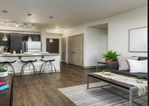 Modern open-plan apartment at The District on Apache Tempe with a kitchen featuring a breakfast bar and three stools, a living area with a gray sofa, coffee table, striped rug, and minimal decor—wood flooring and neutral colors throughout.