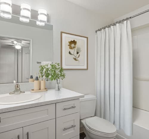 A modern, white bathroom at Aztec Campus Apartments features a sink with a faucet, a countertop with toiletries and a plant, a toilet, floral artwork, a shower with a white curtain, and a large mirror with three lights above it.
