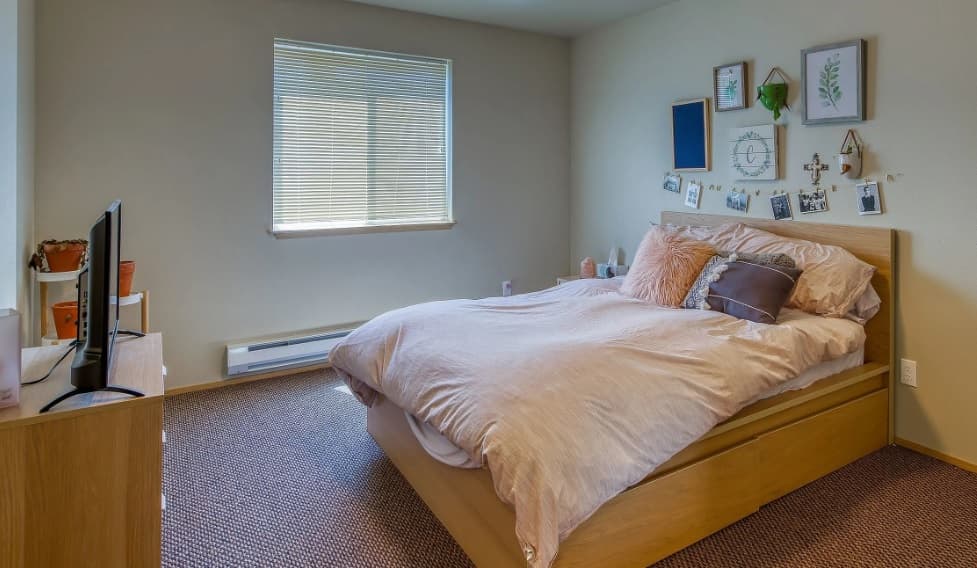 A tidy bedroom at Emerald Downs Apartments features a large bed with light-colored bedding, wall art above the headboard, a window with blinds, a wooden dresser holding a TV, plus potted plants and decor accents throughout the room.