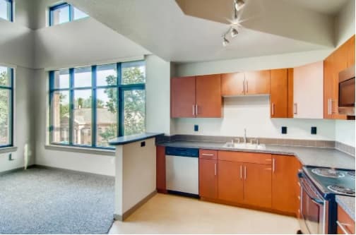 Modern apartment kitchen at Flats at the Oval Fort Collins features wood cabinets, stainless steel appliances, and a large window. The kitchen opens to a carpeted living area with views of trees and nearby buildings.