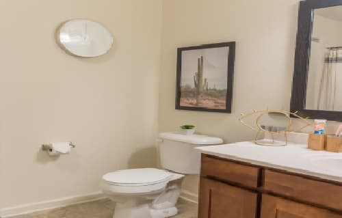 A bathroom at The Grove Apartments in Pullman features a toilet, toilet paper holder, and vanity with sink. A small mirror sits above the toilet, complemented by a framed cactus picture and a countertop with soap and a decorative mirror.
