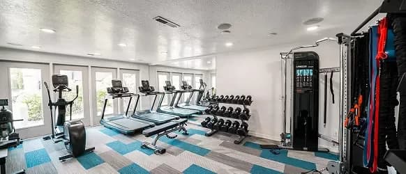 Modern gym at Crestwood Provo featuring treadmills, elliptical machines, stationary bikes, a rack of free weights, and a cable machine. Spacious room with large windows and bright blue and gray patterned carpet tiles.