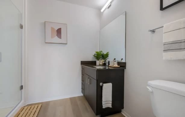 A modern bathroom by HERE Reno Reno features a dark wood vanity, a large mirror, a potted plant, minimalist wall art, light wood flooring, and a sleek glass shower for a fresh look.