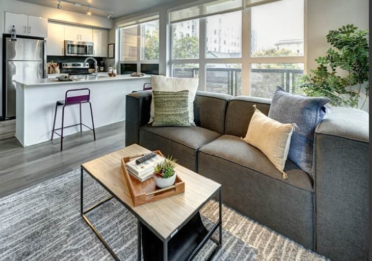 Modern Seattle apartment living room with a gray sofa, assorted pillows, a coffee table with books and a plant, large windows offering city views, and a stylish kitchen area with stainless steel appliances and bar stools at the Hub U District counter.