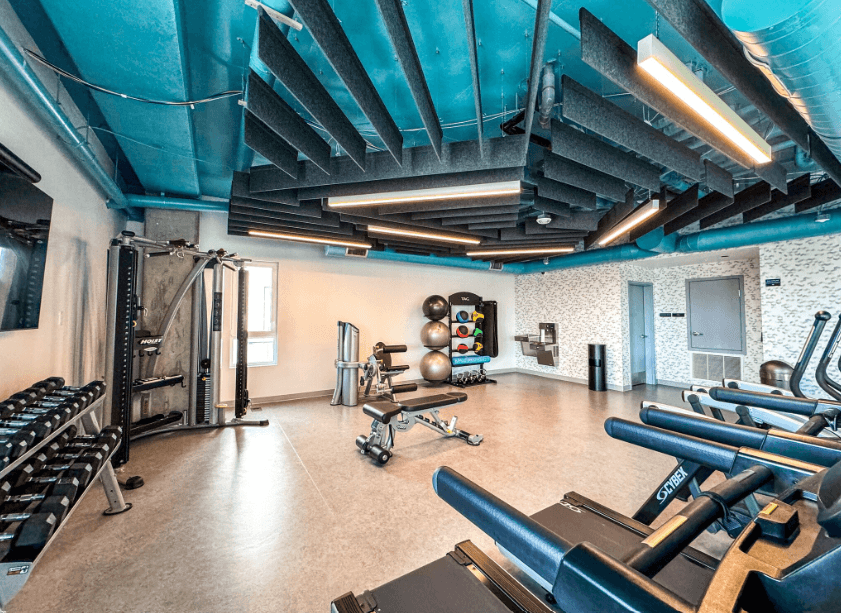 A modern gym with treadmills, free weights, weight machines, benches, and exercise balls. The room has bright lighting, blue ceiling, and acoustic panels. Large windows bring in natural light.