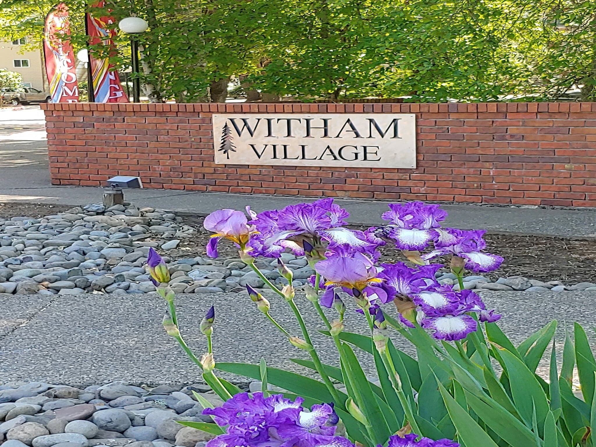 A brick wall with a Witham Village sign stands behind blooming purple irises and lush green foliage. Trees and colorful flags sway in the background.