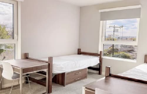 Bright dorm room at Jefferson Flats with two single beds, white bedding, two desks and chairs, large windows letting in natural light, and a view of trees and sky—perfect for student apartments or rental living.