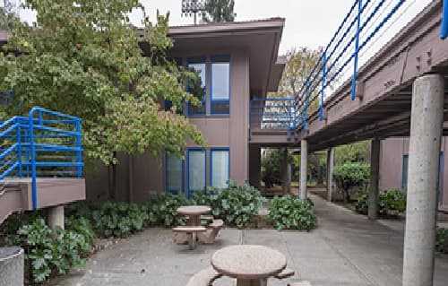 A concrete courtyard with round picnic tables and benches is surrounded by buildings with blue railings and windows. Lush green plants and a tree add greenery to the area.