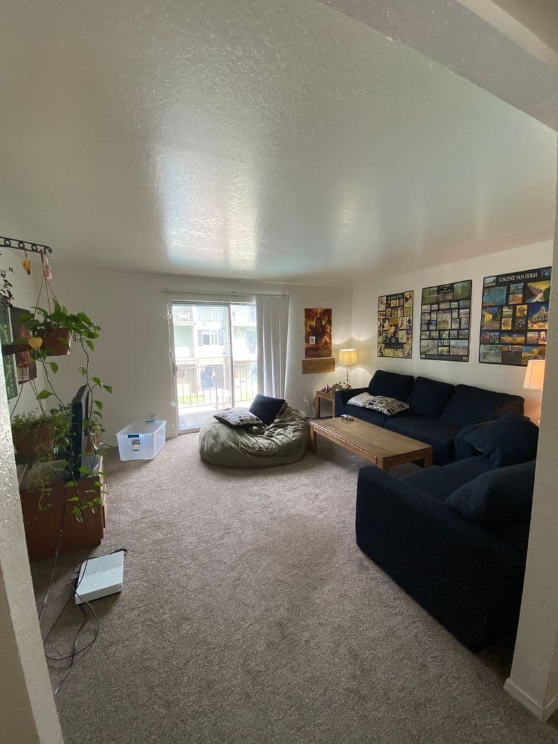 A cozy living room with a blue couch, a bean bag chair, a wooden coffee table, and potted plants. Posters decorate the white walls—one features the Old Mill by JosephThomas. Sunlight streams in through a sliding glass door.