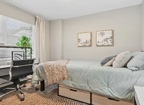 A neatly organized bedroom at The Mark Los Angeles features a bed with storage drawers underneath, a desk with a chair, a potted plant, and two framed pictures on the light-colored wall. Sunlight filters in through blinds.