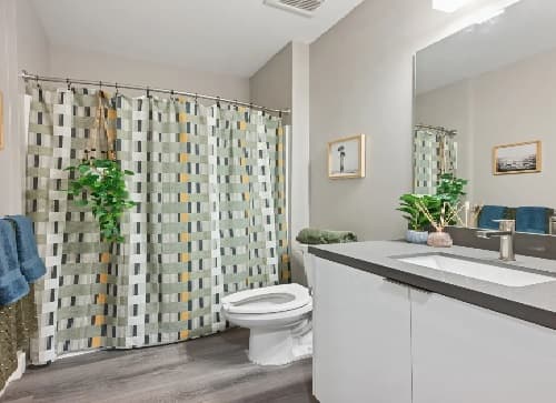Modern bathroom by Mark Los Angeles with a gray countertop, white sink, large mirror, patterned shower curtain, toilet, and a green plant hanging near the shower. Towels and framed pictures add charm to the light-colored walls.