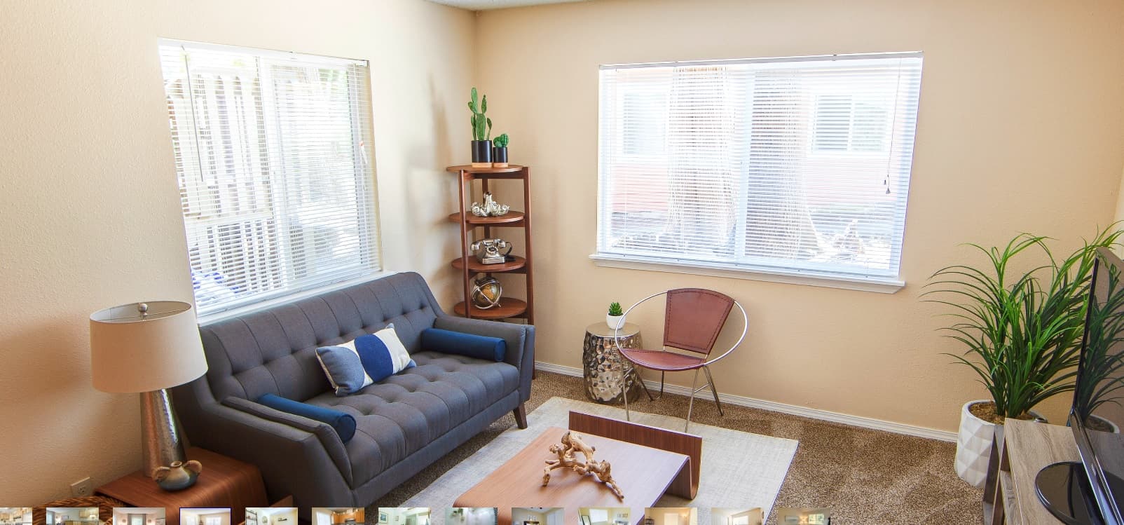 A bright living room at Oak Vale Apartments features a gray sofa, small wooden coffee table, round chair, tall potted plant, and wooden corner shelves, with two large windows letting in plenty of natural light.