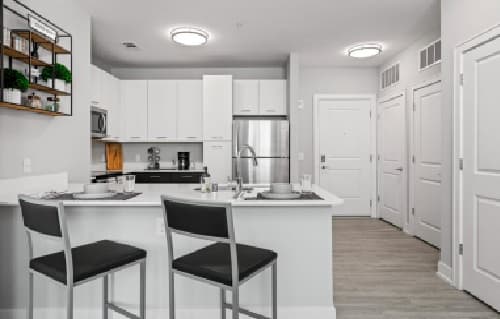 Modern kitchen at Park Place at Reno Reno features white cabinets, stainless steel appliances, and a breakfast bar with two black chairs. Decorative shelves with plants add charm to the light gray walls and wood-style flooring.