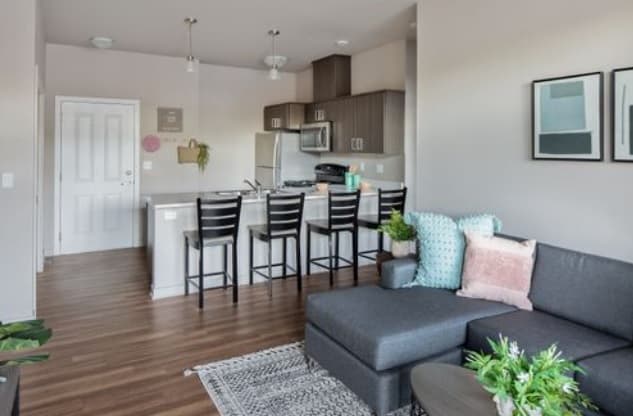 Modern open-plan kitchen and living room in Quad Corvallis student housing with wood floors, gray sectional sofa, kitchen island with bar stools, stainless steel appliances, wall art, and green plants for a fresh touch.