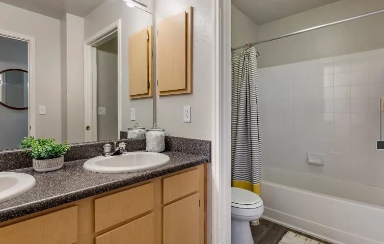 A bathroom at Campus Crossings at Ram's Pointe Fort Collins features a double sink vanity, large mirror, light wood cabinets, potted plant, and a bathtub with a white and gray striped shower curtain beside the toilet.