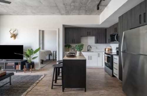 Modern open-concept kitchen and living area with dark cabinets, stainless steel appliances, a central island with stools, wood flooring, and potted plants; experience stylish student apartments at Rev Northgate with a bedroom visible through an open doorway.