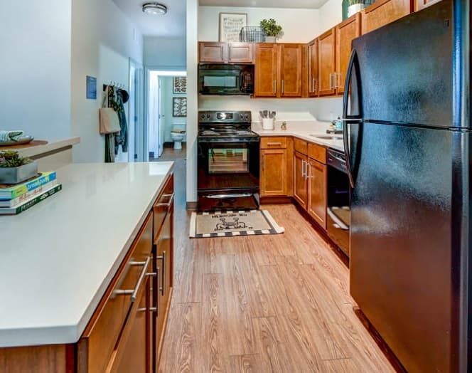 Modern kitchen with wood cabinets, black appliances, white countertops, and wood-style flooring in the heart of Fort Collins. A small island with books and plants is visible, and a hallway leads to another room in the background.