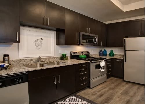 Modern kitchen with dark cabinets, stainless steel appliances, granite countertops, and a double sink. Saga Reno Reno finishes shine with green vases and wood-patterned flooring. A framed artwork hangs above the sink area.