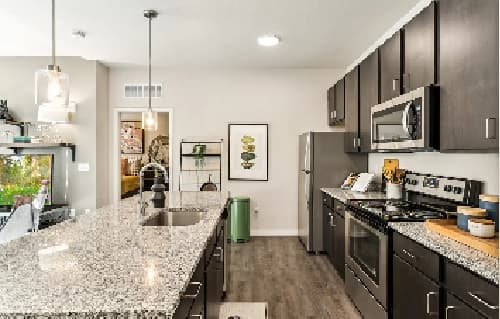 Modern kitchen at The Standard at Fort Collins, featuring dark cabinets, stainless steel appliances, granite countertops, and a double sink. Open living area with a fish tank, framed wall art, and a green trash bin in the background.