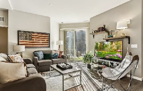 A modern living room at The Standard at Fort Collins features gray sofas, a butterfly chair, a coffee table, American flag wall art, a TV showing nature scenes, and large windows for natural light. Neutral colors and cozy decor accents throughout.