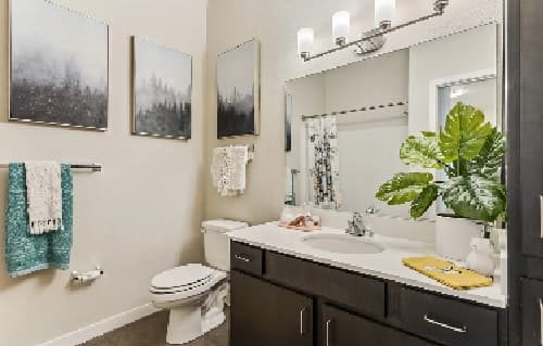 A modern bathroom at Stadium Apartments Fort Collins features a large mirror, dark cabinets, a white sink, toilet, green plant, teal and white towels, three framed landscape prints, and bright overhead lighting.
