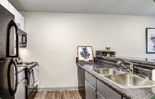 Modern kitchen at The Social West® Fort Collins with stainless steel appliances, double sink, dark cabinets, a framed plant print on the counter, and neutral walls; a towel hangs on the oven door.
