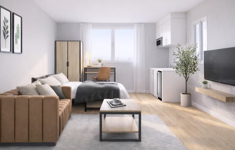Modern studio apartment with a brown sofa, bed, wardrobe, desk with a chair, wall-mounted TV, kitchenette, potted plant, and large window letting in natural light. Decor includes framed botanical prints.