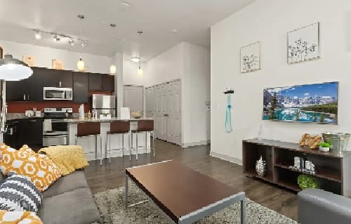 Modern open-concept apartment at The District at Campus West Fort Collins, featuring a kitchen with dark cabinets, stainless steel appliances, a gray couch, yellow accents, TV, and coffee table. Bright and neatly organized space.