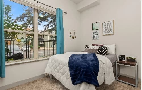 A cozy bedroom at The District at Campus West Fort Collins features a large window with blue curtains, a neatly made bed with white bedding and a navy throw, a small nightstand with a plant, and framed art on the white walls.