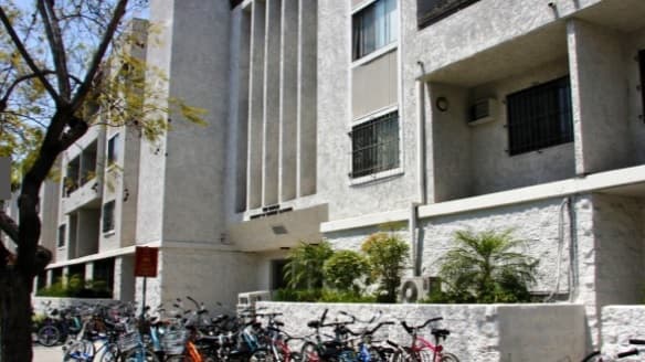 A white apartment building with vertical architectural lines and several windows, surrounded by greenery and many bicycles parked along the sidewalk. A tree is visible on the left side.