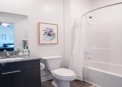 Modern bathroom in Retreat at Pullman student housing features a white toilet, granite countertop, dark vanity, and bathtub with white shower curtain. A framed botanical artwork hangs above the toilet. Mirror and toiletries are on the left.